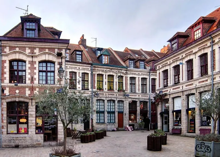 Lille Hypercentre - Nice And Equipped Studio!